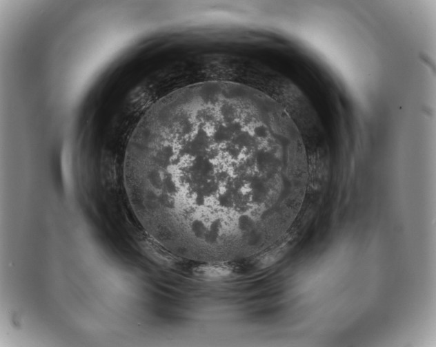 X0000091200765200708161614
