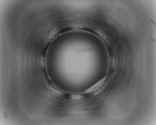 X0000091200766200708161614