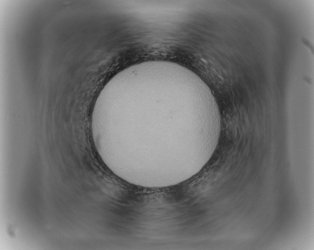 X0000091200769200708161613