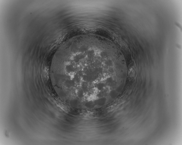 X0000091200772200708161613