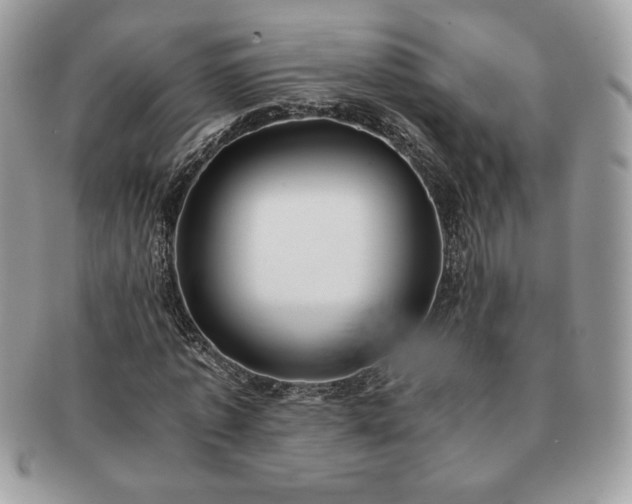 X0000091200773200708161613