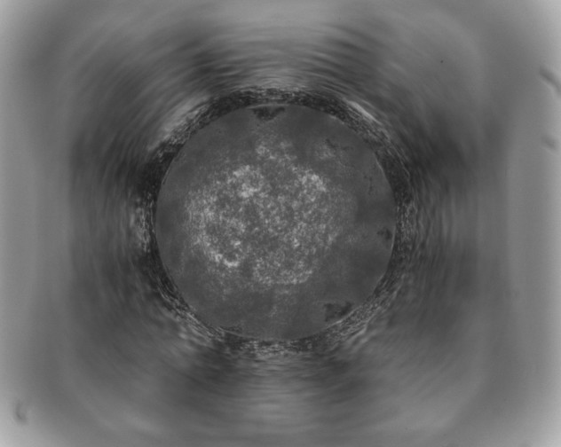 X0000091200774200708161613