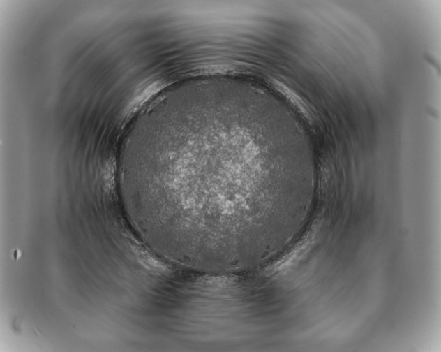 X0000091200778200708161613