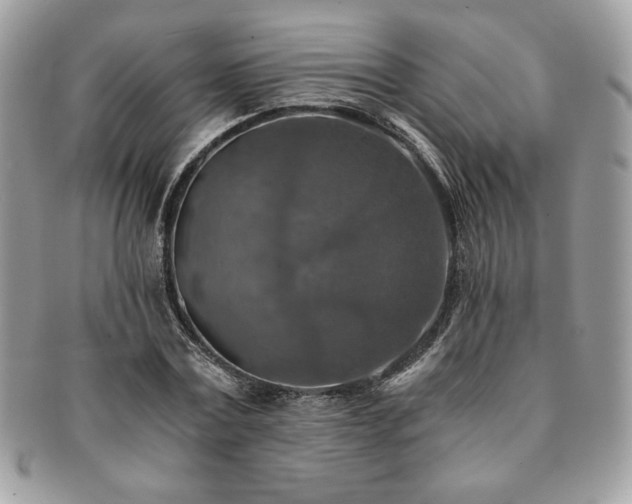 X0000091200779200708161613