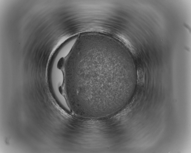 X0000091200780200708161613