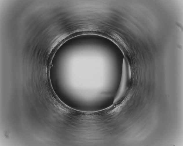 X0000091200781200708161613