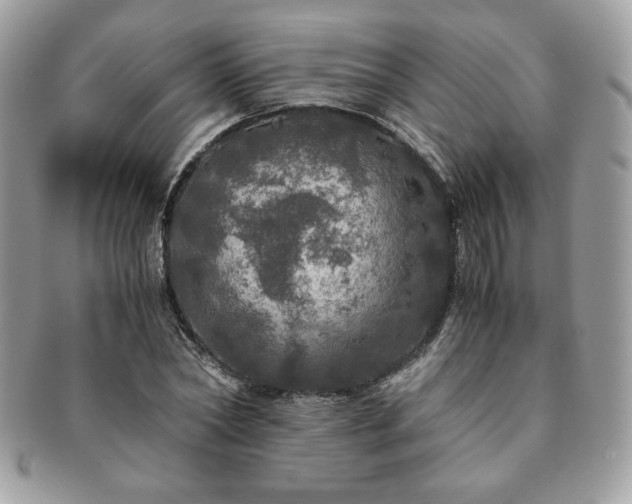 X0000091200782200708161613