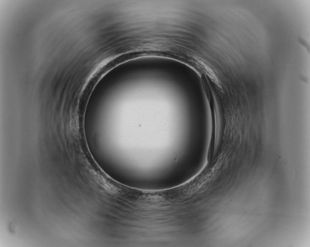 X0000091200784200708161613
