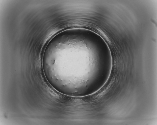 X0000091200787200708161613