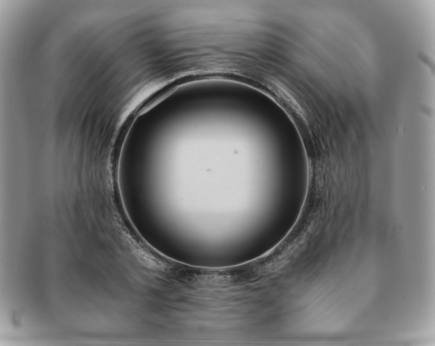 X0000091200789200708161613