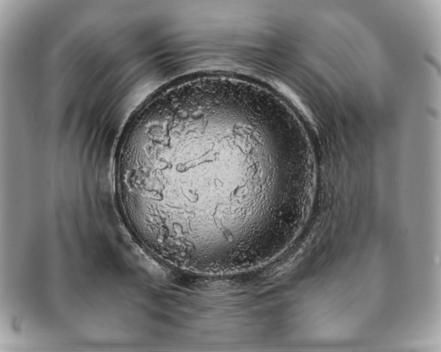 X0000091200791200708161613