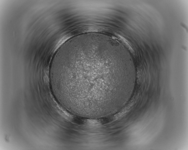 X0000091200794200708161613