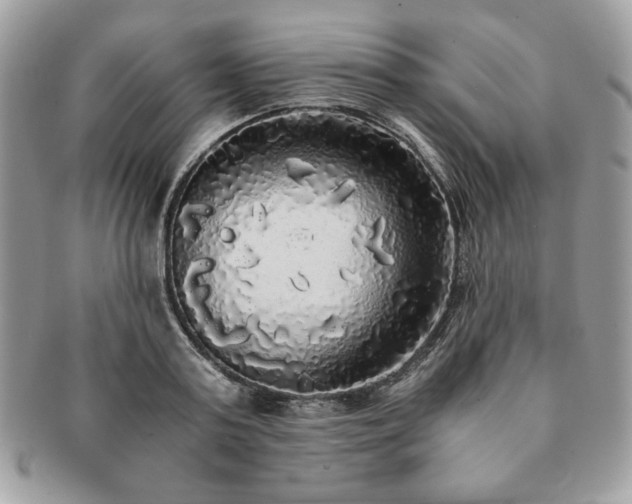 X0000091200795200708161613