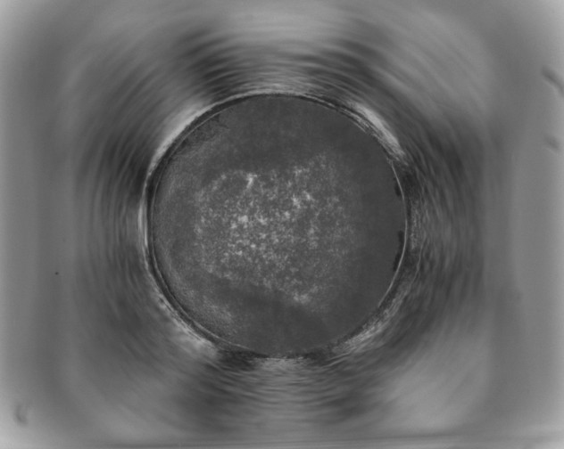 X0000091200796200708161613
