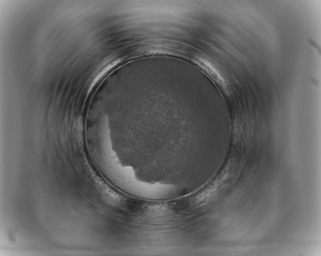 X0000091200798200708161613