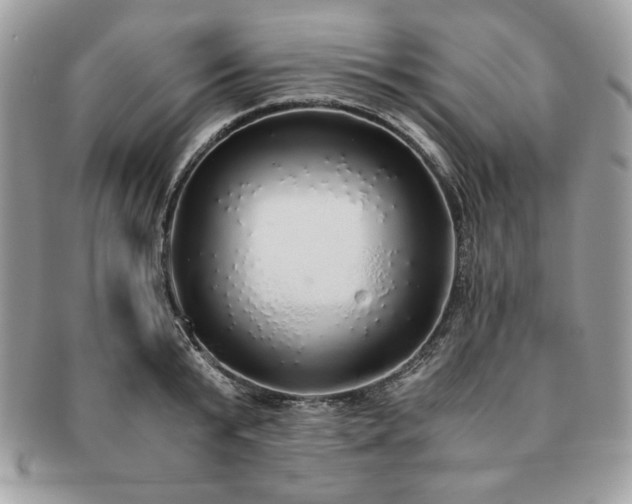 X0000091200799200708161613