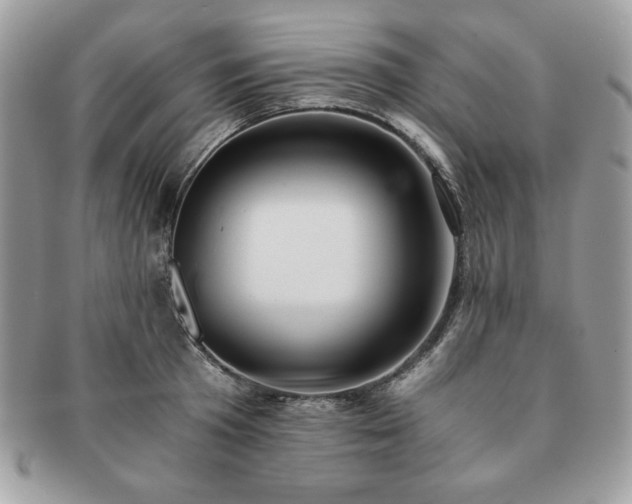 X0000091200801200708161613