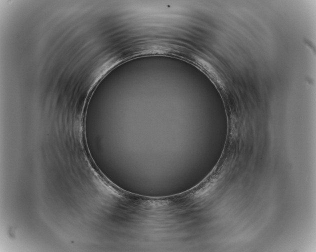 X0000091200802200708161613