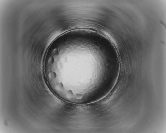 X0000091200803200708161613