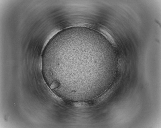 X0000091200804200708161613