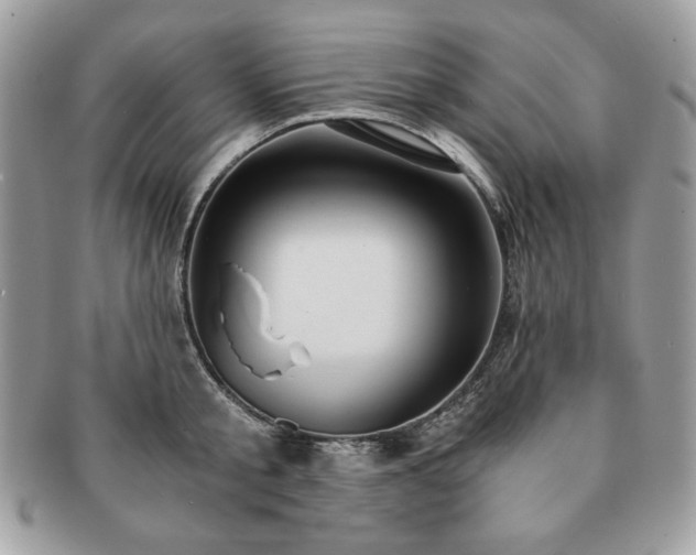 X0000091200805200708161613