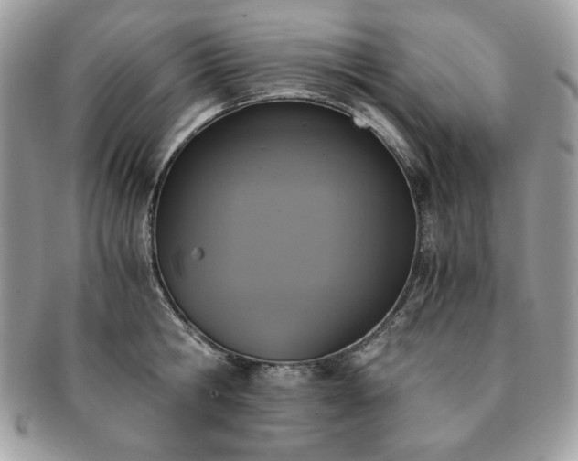 X0000091200806200708161613
