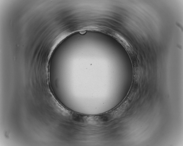 X0000091200808200708161613