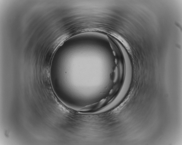 X0000091200809200708161613