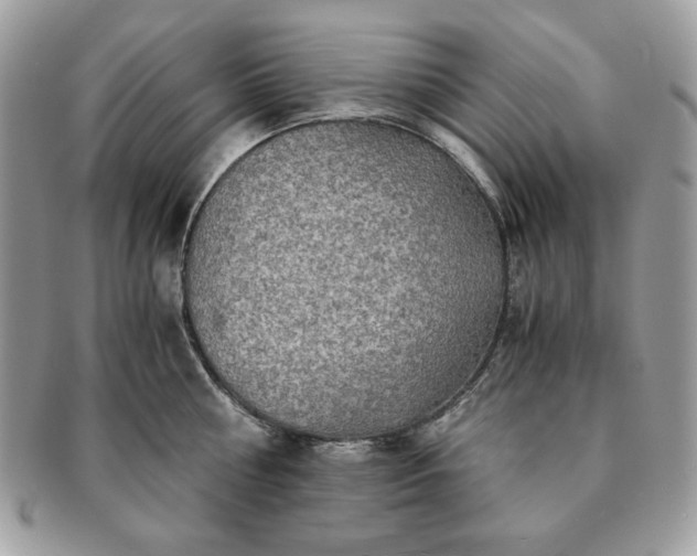 X0000091200810200708161613