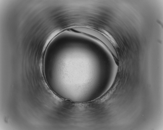 X0000091200812200708161613
