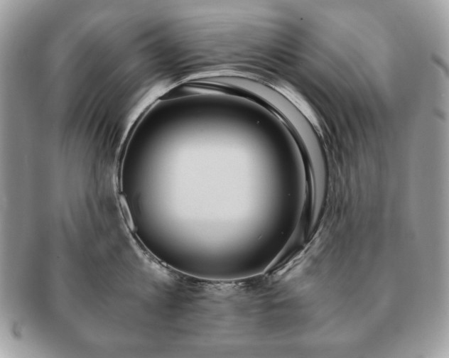 X0000091200813200708161613