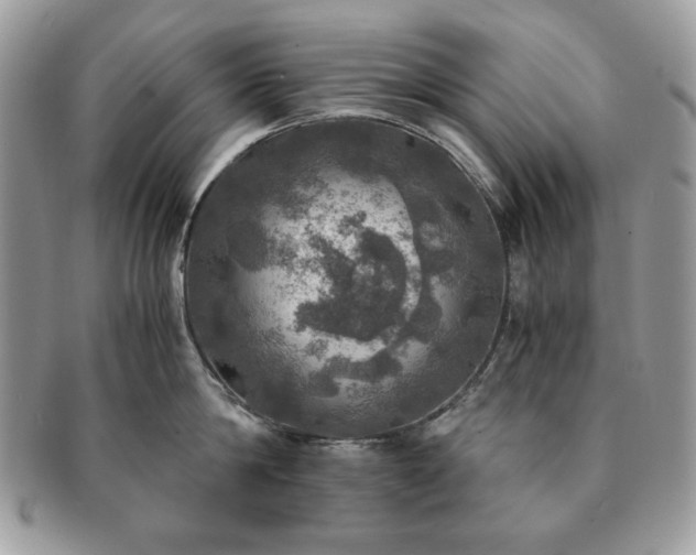X0000091200814200708161613