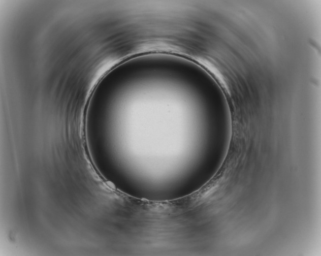 X0000091200815200708161613