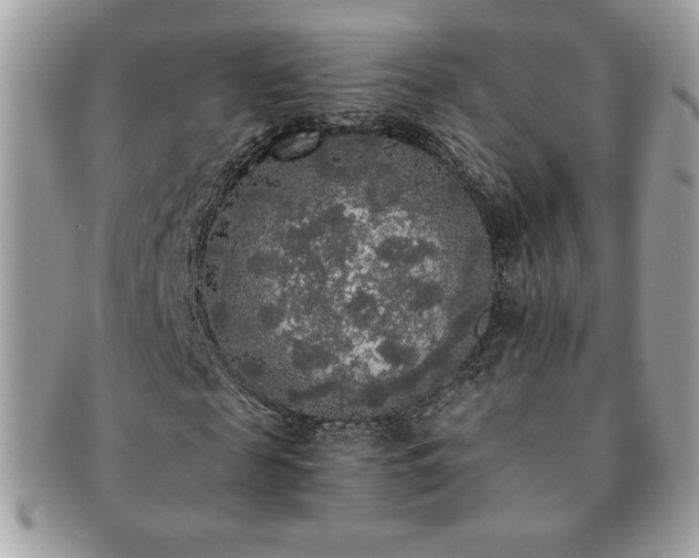 X0000091200817200708161612