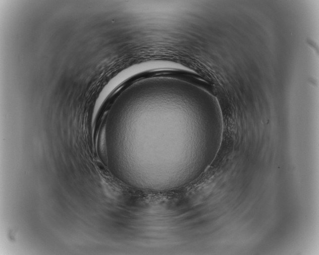 X0000091200818200708161612