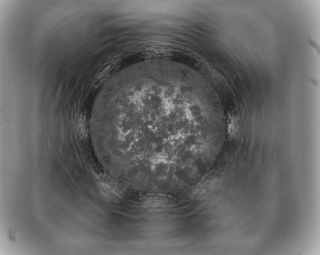 X0000091200819200708161612