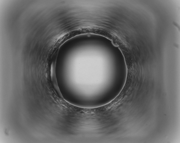 X0000091200822200708161612
