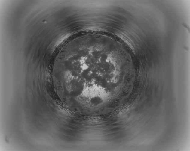 X0000091200823200708161612