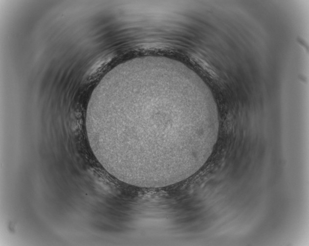 X0000091200824200708161612