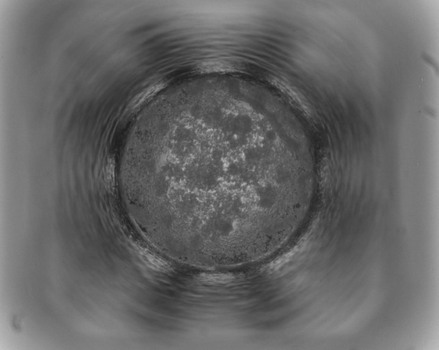 X0000091200825200708161612