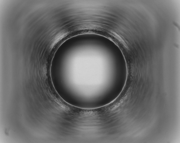 X0000091200826200708161612