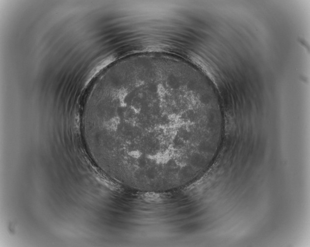X0000091200827200708161612