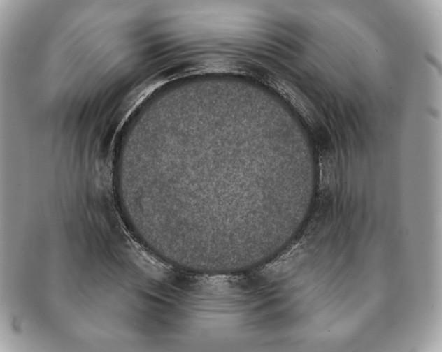 X0000091200828200708161612