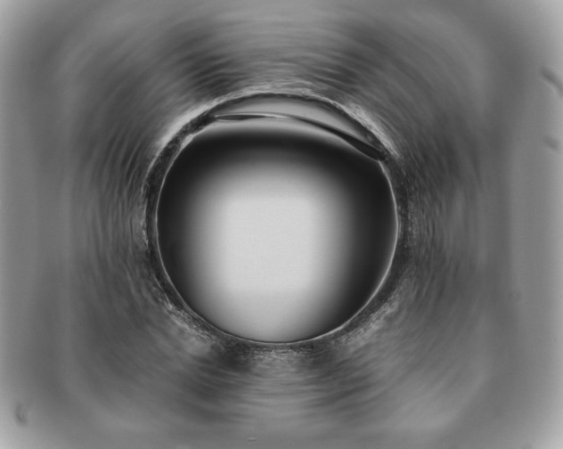 X0000091200830200708161612