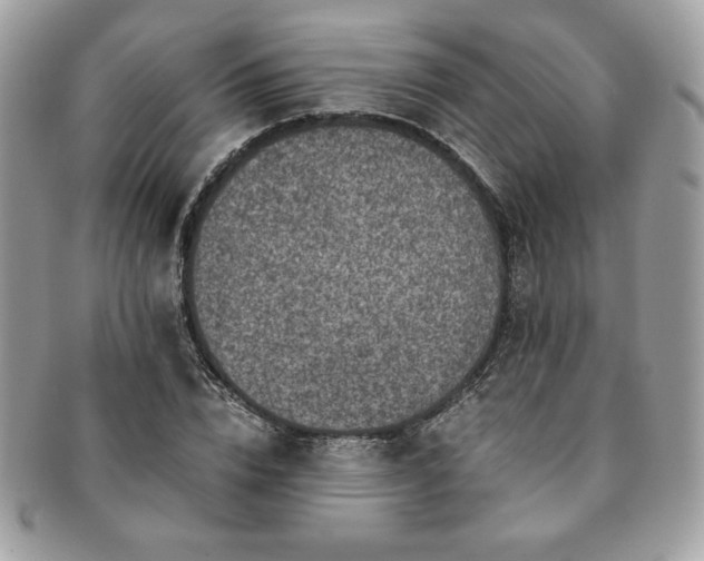 X0000091200832200708161612