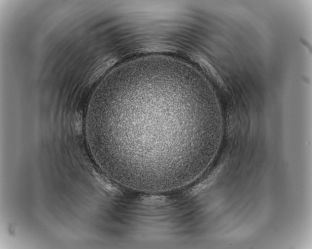 X0000091200833200708161612
