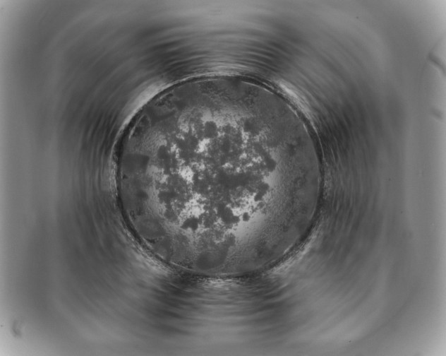 X0000091200835200708161612