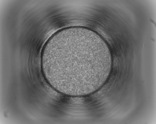 X0000091200836200708161612