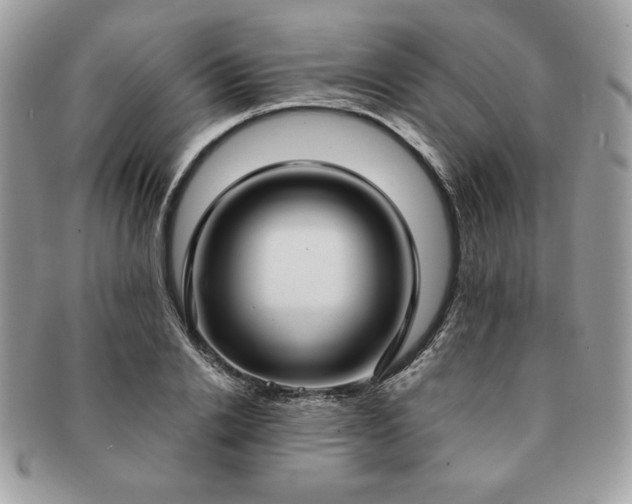 X0000091200838200708161612