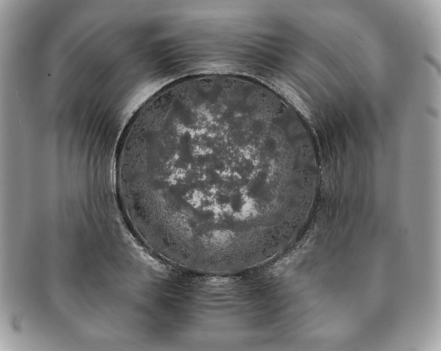 X0000091200839200708161612